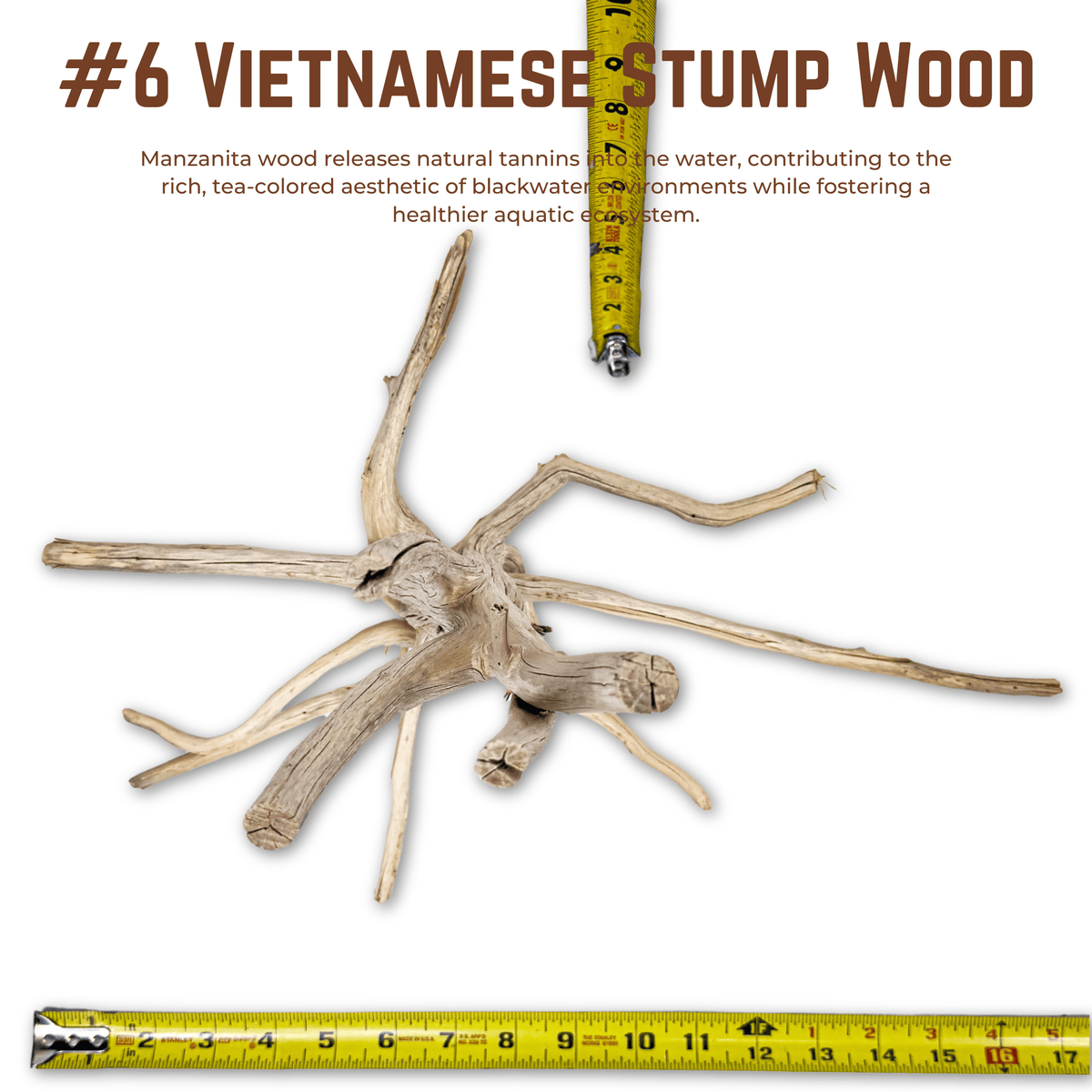 Vietnamese Stump Wood | WYSIWYG Pieces