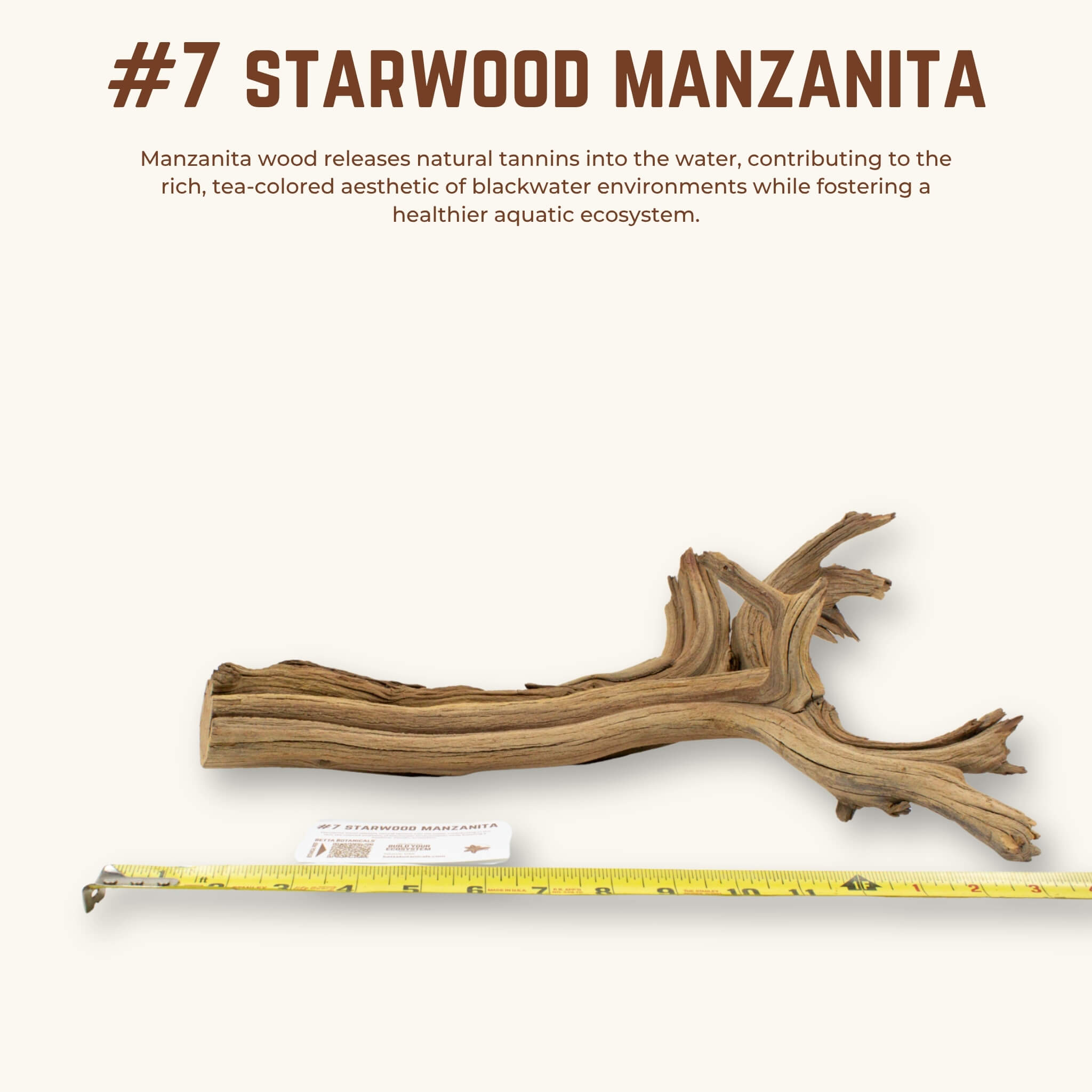 Starwood Manzanita | WYSIWYG Pieces