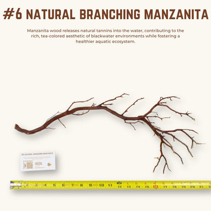 Natural Branching Manzanita | WYSIWYG Pieces