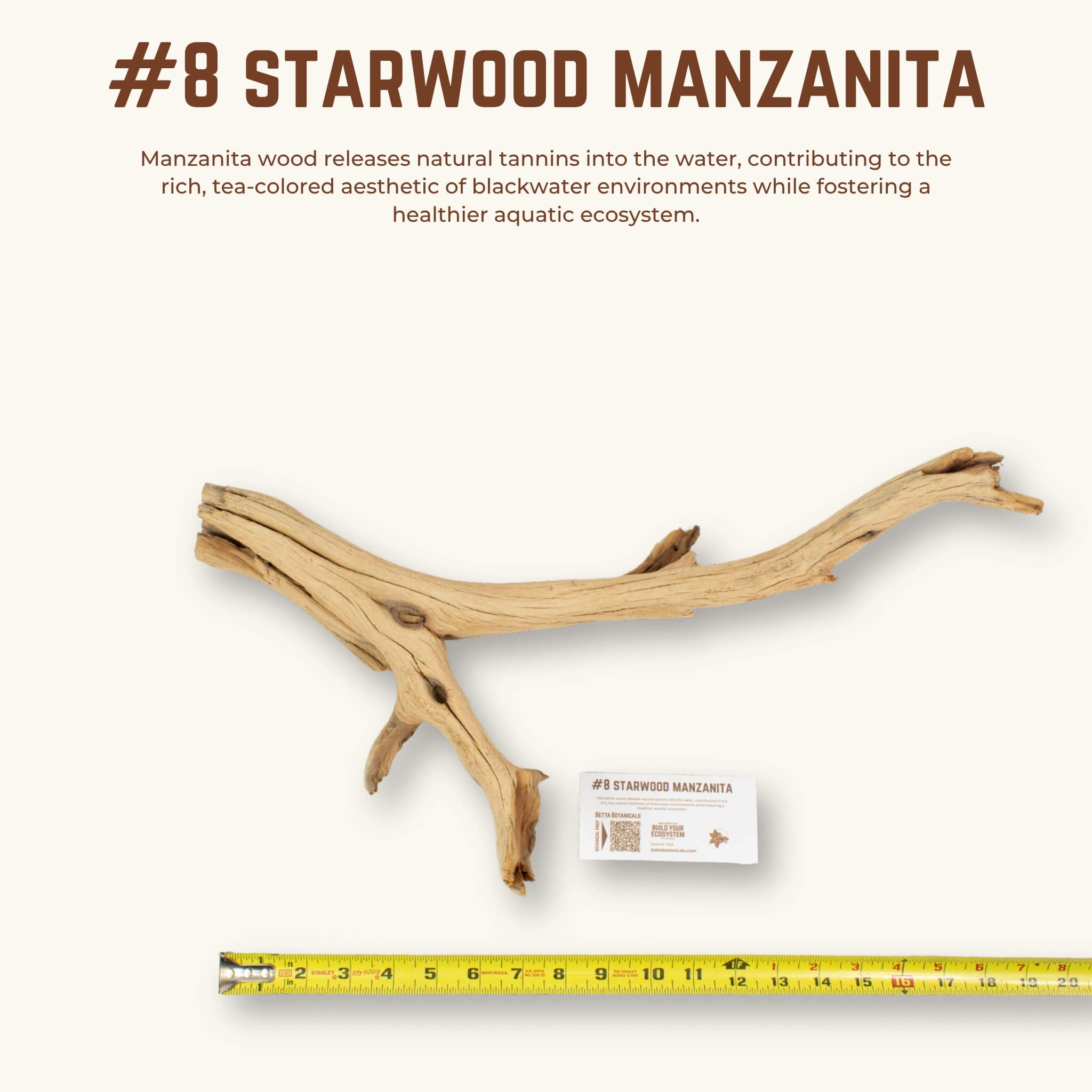 Starwood Manzanita | WYSIWYG Pieces