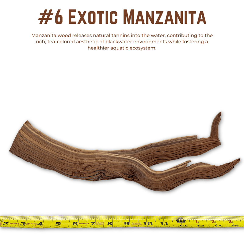 Exotic Manzanita | WYSIWYG Pieces