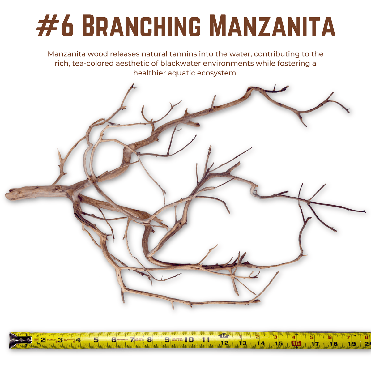 Branching Manzanita | WYSIWYG Pieces