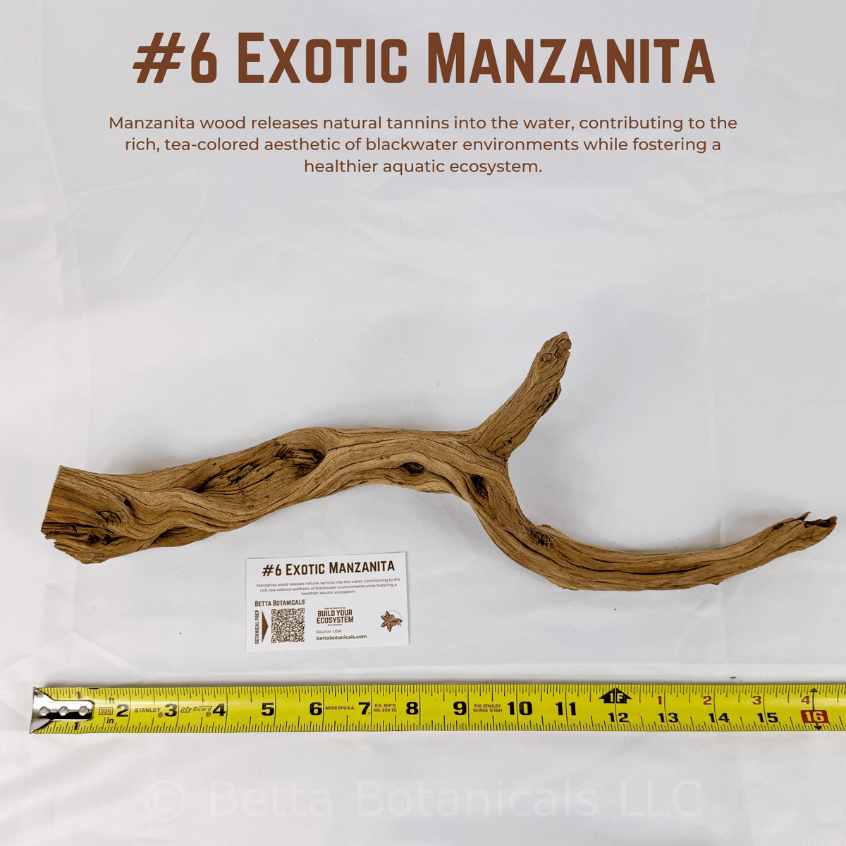 Exotic Manzanita | WYSIWYG Pieces