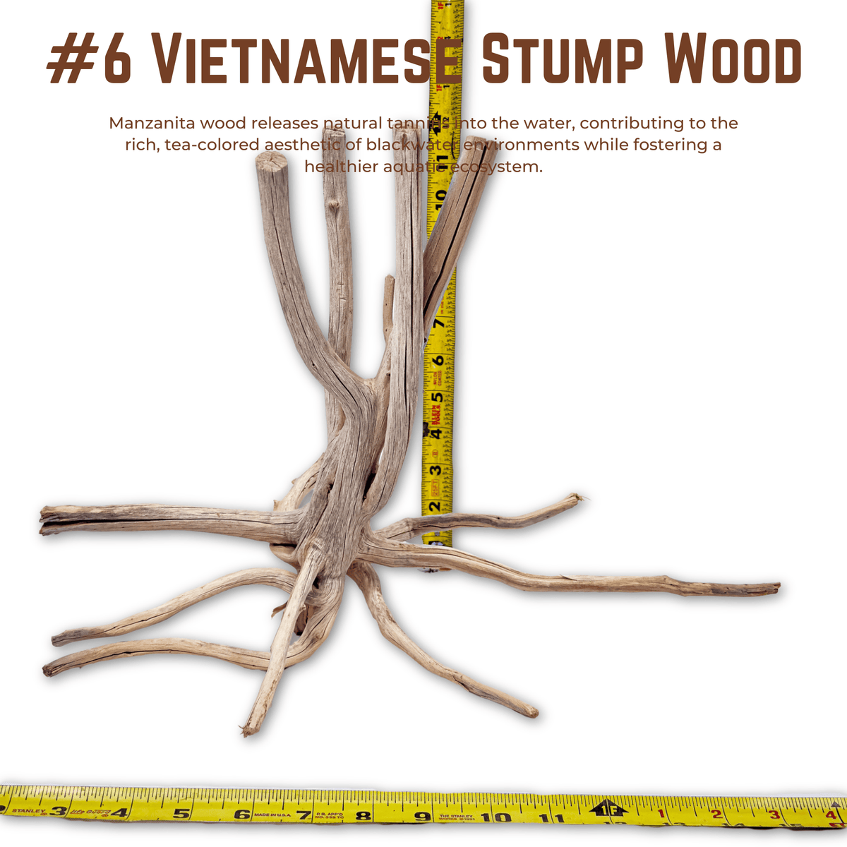 Vietnamese Stump Wood | WYSIWYG Pieces