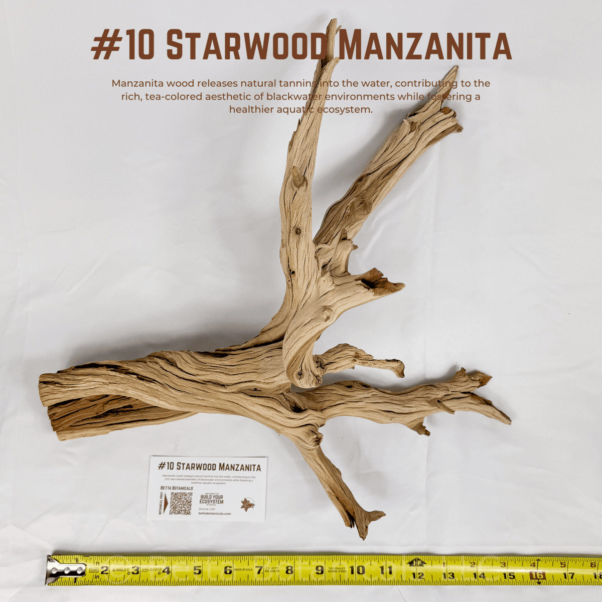 'Starwood' Manzanita | WYSIWYG Pieces