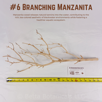 Branching Manzanita | WYSIWYG Pieces