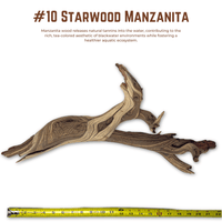 'Starwood' Manzanita | WYSIWYG Pieces