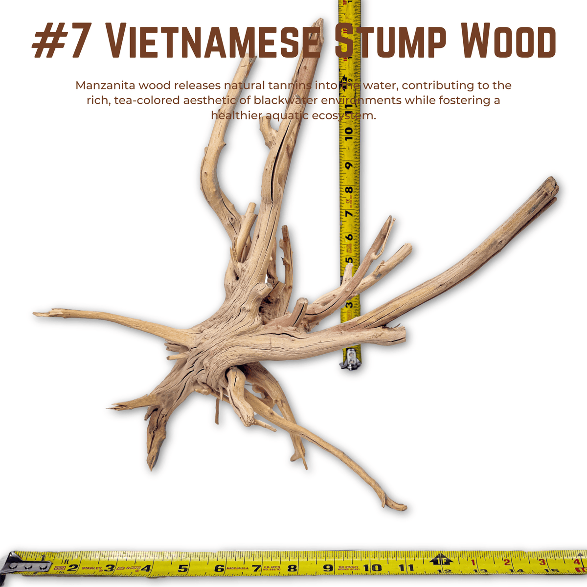 Vietnamese Stump Wood | WYSIWYG Pieces