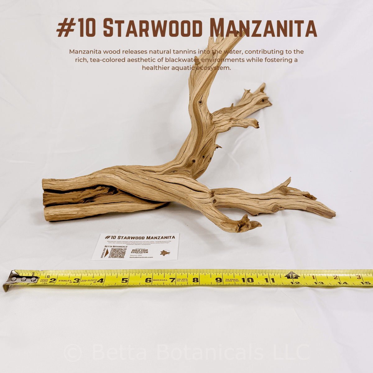 'Starwood' Manzanita | WYSIWYG Pieces