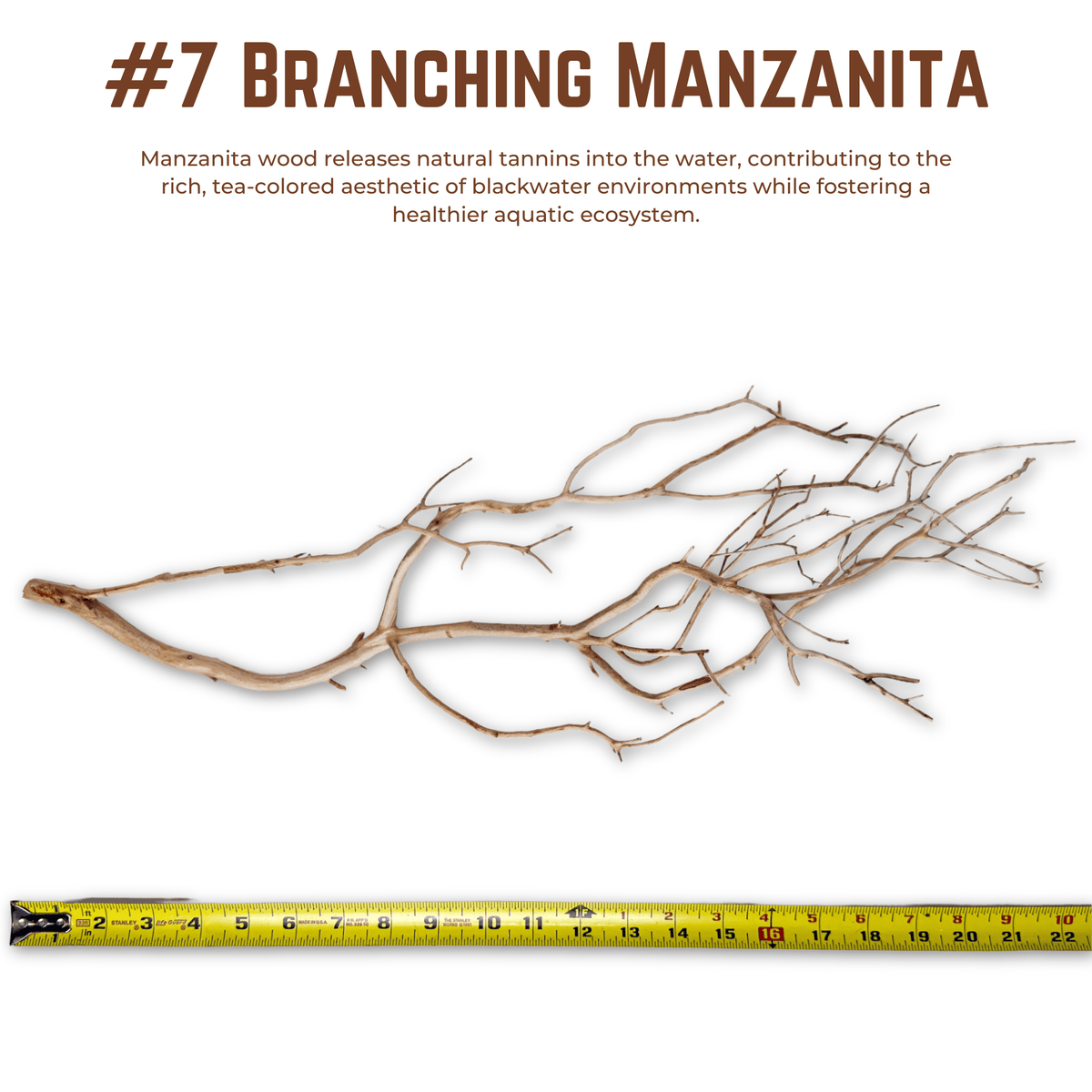 Branching Manzanita | WYSIWYG Pieces