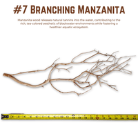 Branching Manzanita | WYSIWYG Pieces