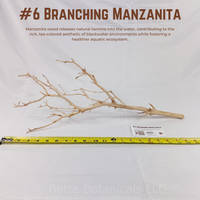 Branching Manzanita | WYSIWYG Pieces