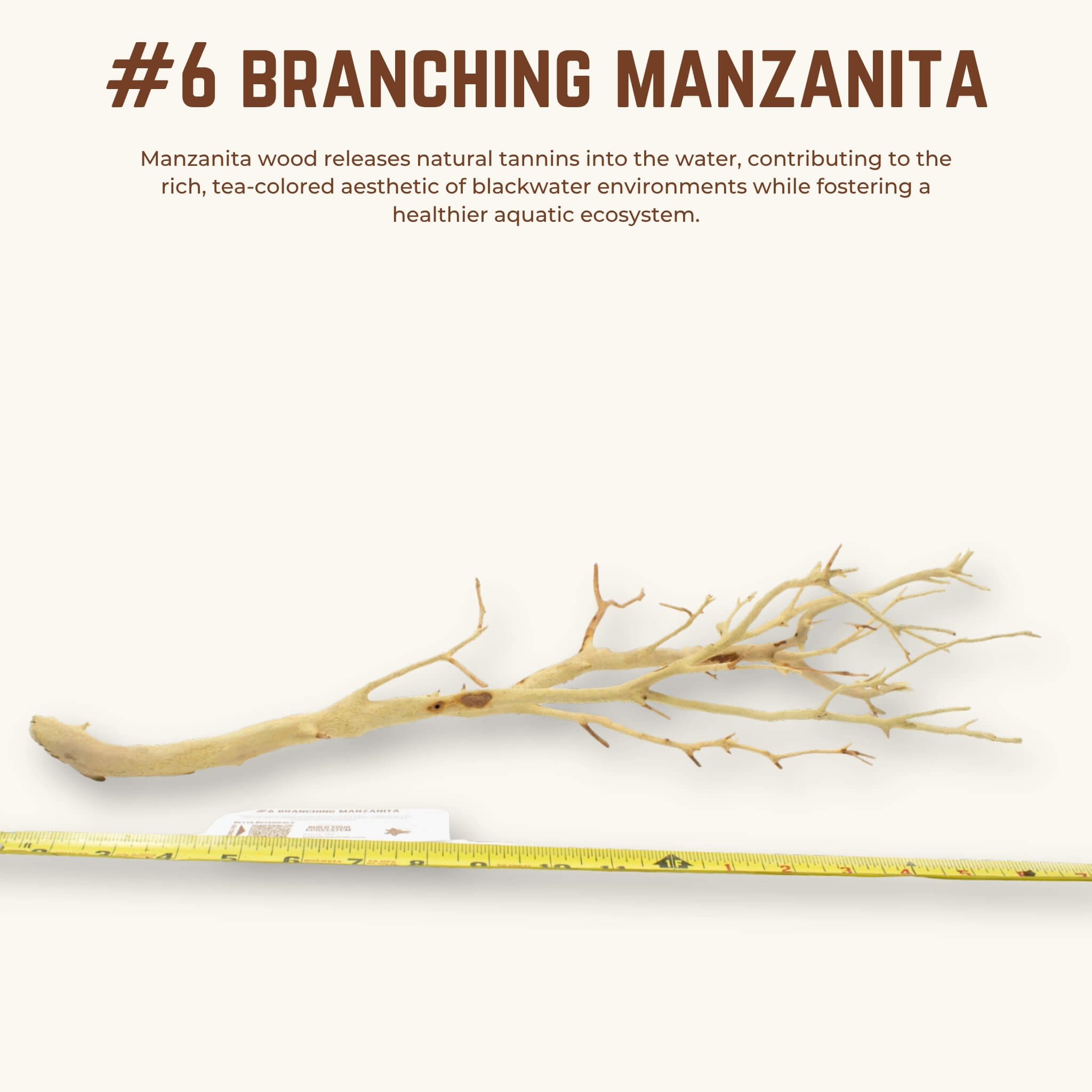 Branching Manzanita | WYSIWYG Pieces
