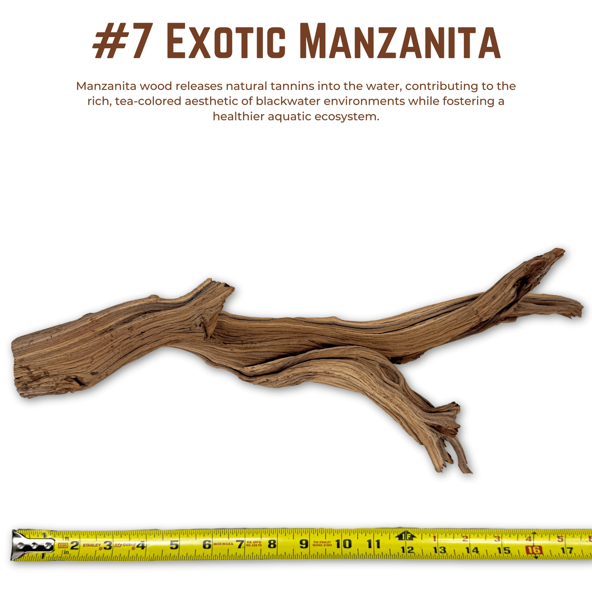 Exotic Manzanita | WYSIWYG Pieces