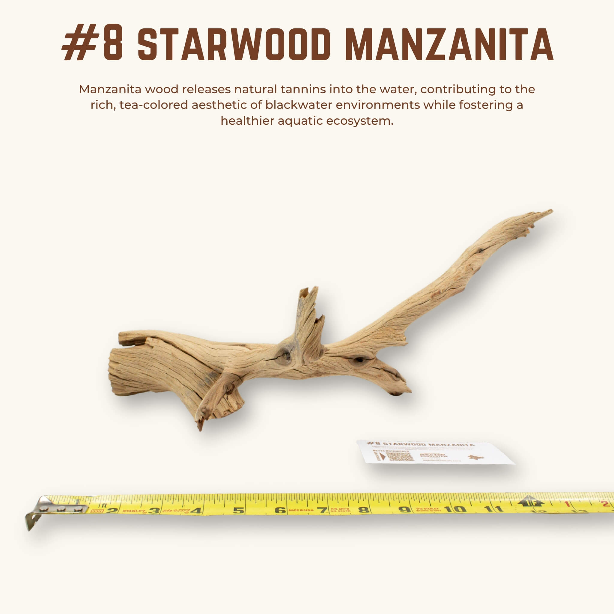 Starwood Manzanita | WYSIWYG Pieces