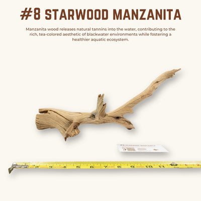 Starwood Manzanita | WYSIWYG Pieces