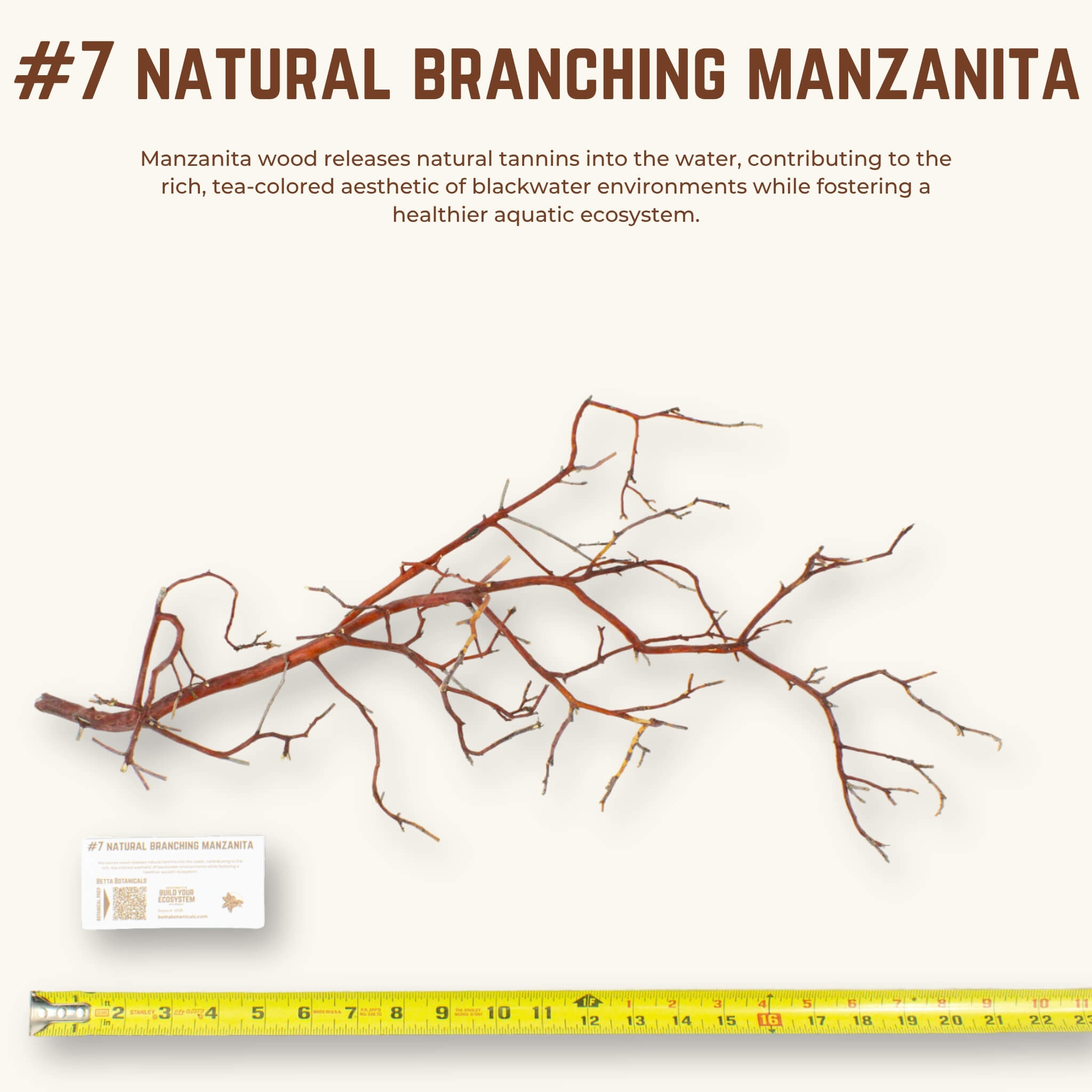 Natural Branching Manzanita | WYSIWYG Pieces