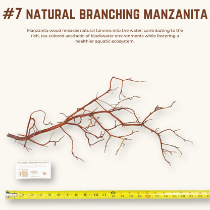 Natural Branching Manzanita | WYSIWYG Pieces