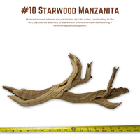 'Starwood' Manzanita | WYSIWYG Pieces