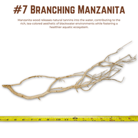 Branching Manzanita | WYSIWYG Pieces