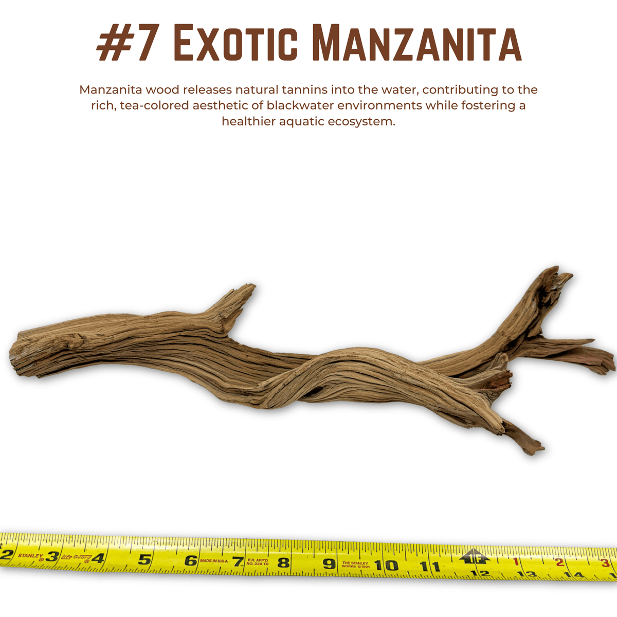 Exotic Manzanita | WYSIWYG Pieces