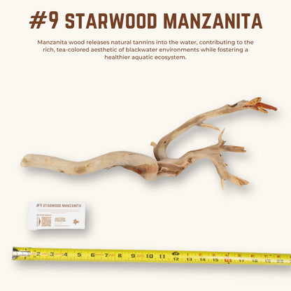 Starwood Manzanita | WYSIWYG Pieces