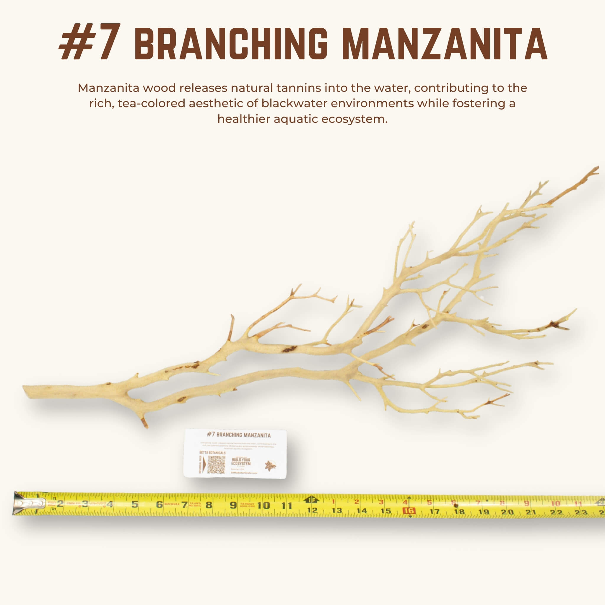 Branching Manzanita | WYSIWYG Pieces