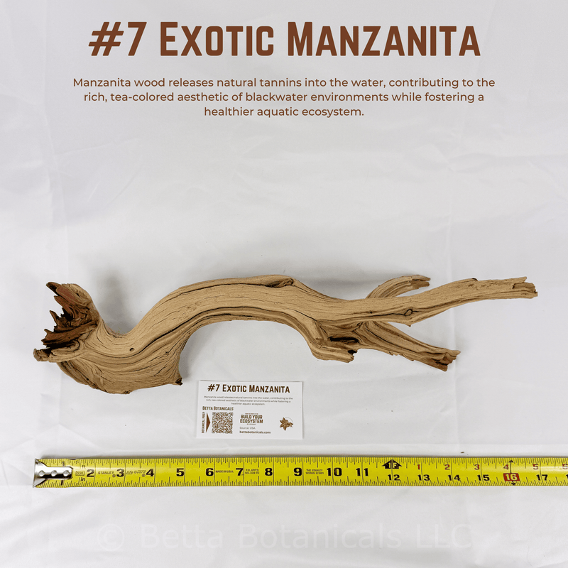 Exotic Manzanita | WYSIWYG Pieces