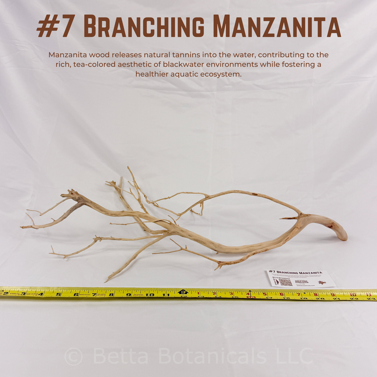 Branching Manzanita | WYSIWYG Pieces