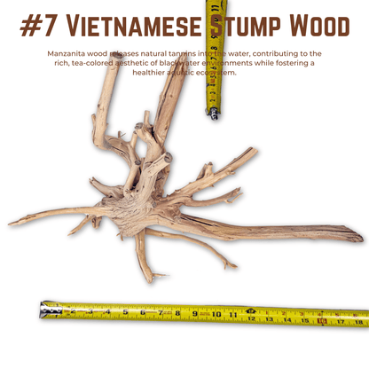 Vietnamese Stump Wood | WYSIWYG Pieces