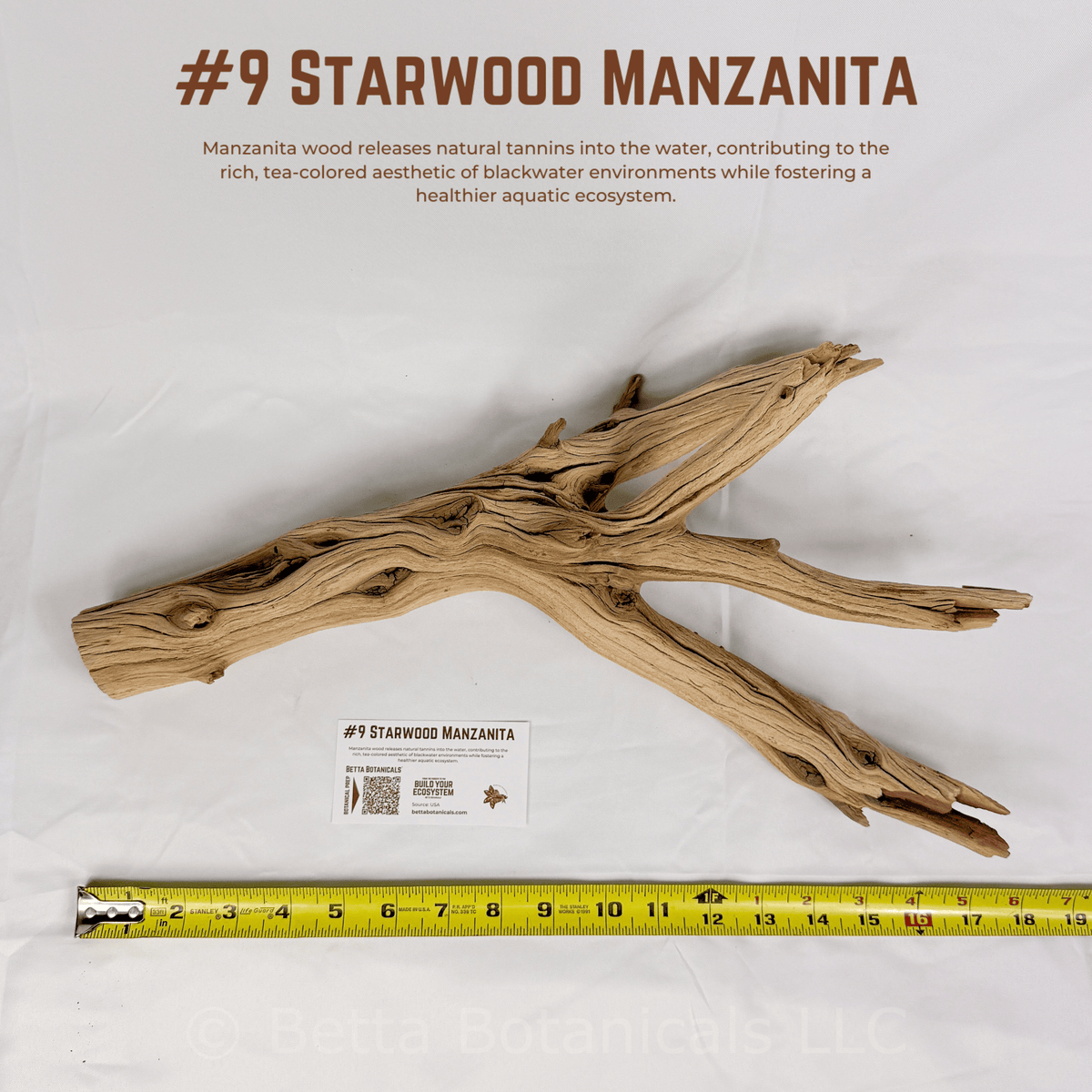 'Starwood' Manzanita | WYSIWYG Pieces