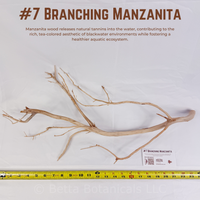 Branching Manzanita | WYSIWYG Pieces