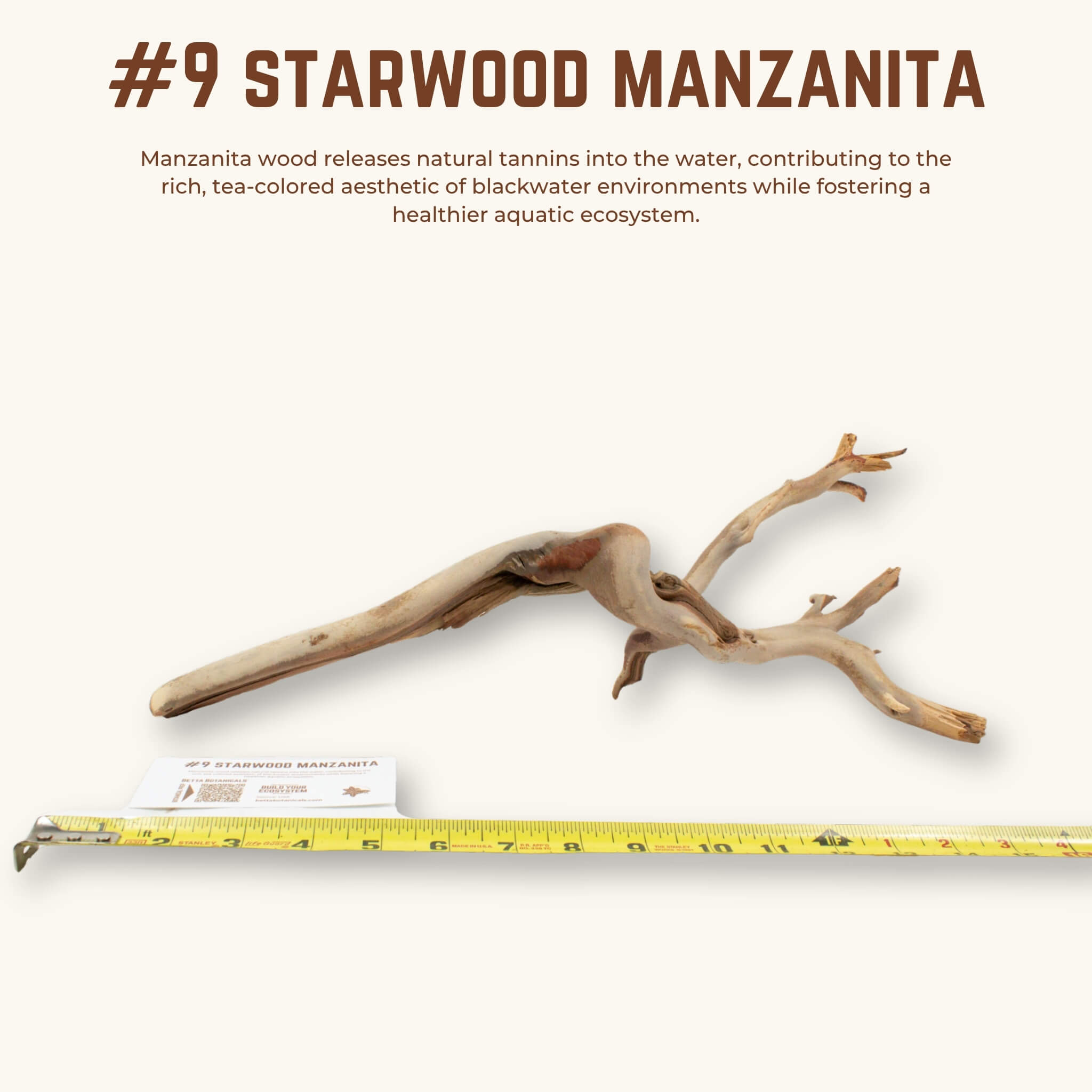 Starwood Manzanita | WYSIWYG Pieces