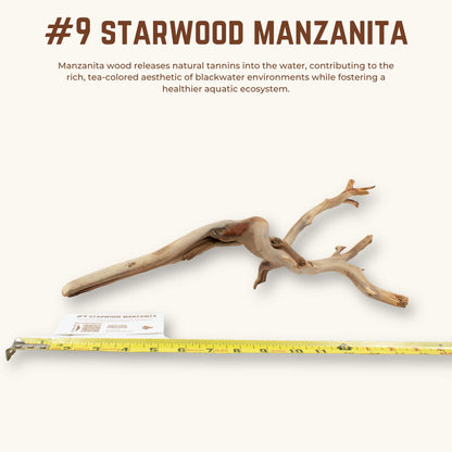 Starwood Manzanita | WYSIWYG Pieces