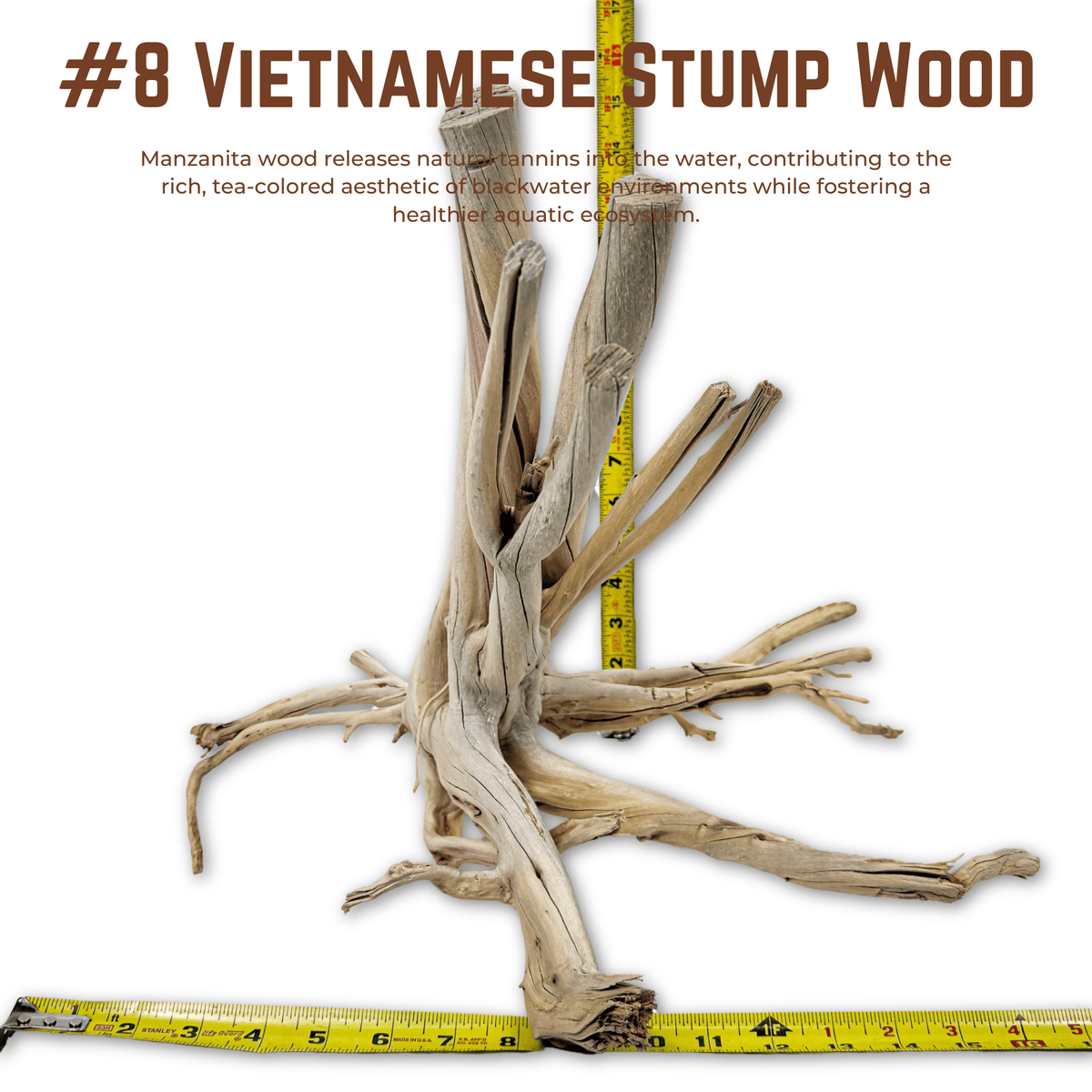 Vietnamese Stump Wood | WYSIWYG Pieces