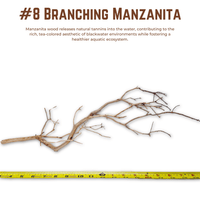 Branching Manzanita | WYSIWYG Pieces