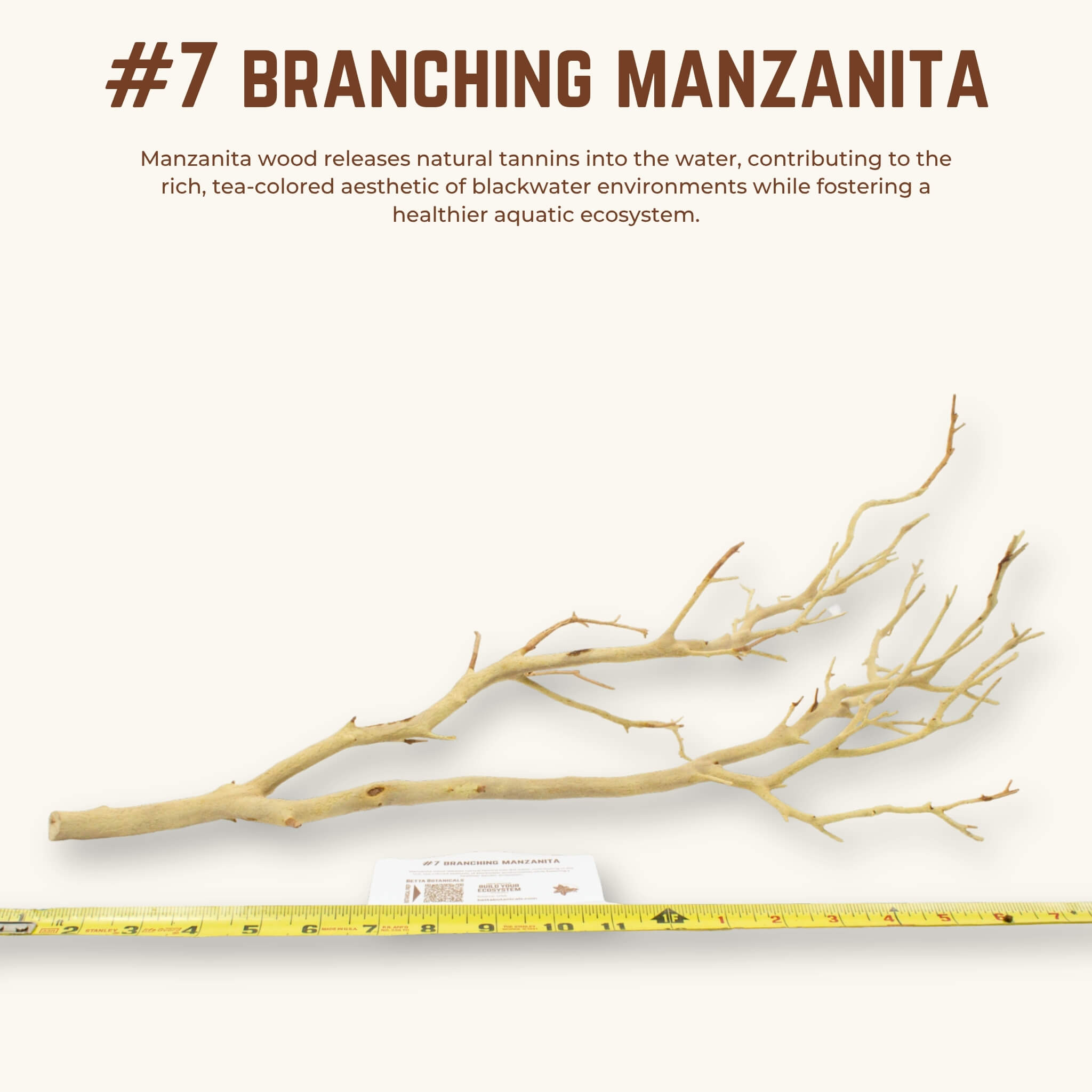 Branching Manzanita | WYSIWYG Pieces