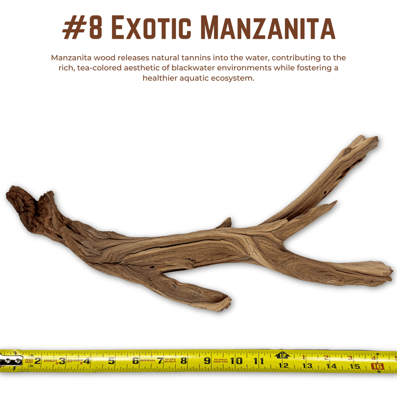 Exotic Manzanita | WYSIWYG Pieces