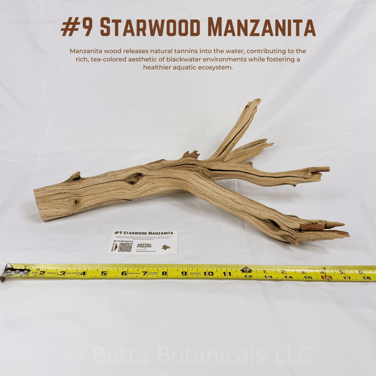 'Starwood' Manzanita | WYSIWYG Pieces