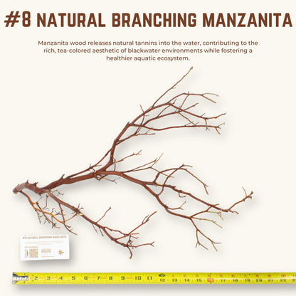 Natural Branching Manzanita | WYSIWYG Pieces