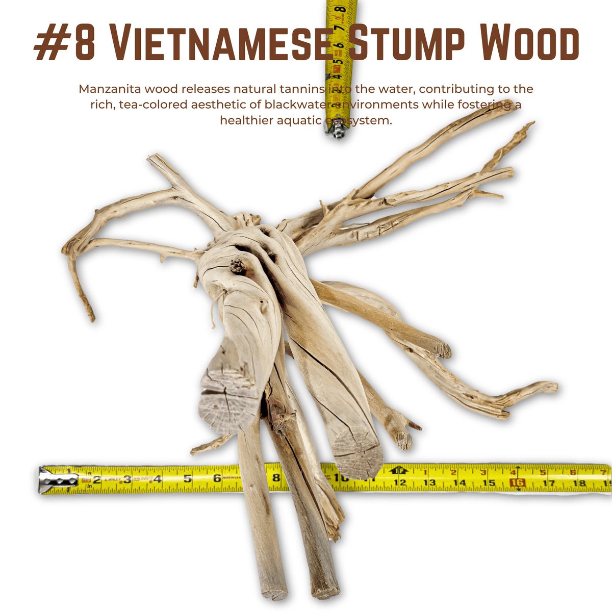 Vietnamese Stump Wood | WYSIWYG Pieces