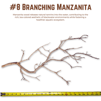 Branching Manzanita | WYSIWYG Pieces