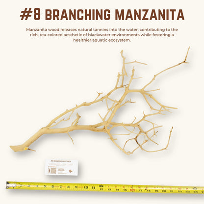 Branching Manzanita | WYSIWYG Pieces