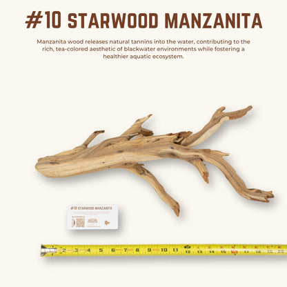 Starwood Manzanita | WYSIWYG Pieces