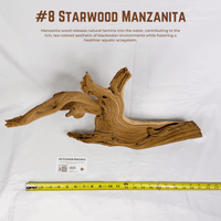 'Starwood' Manzanita | WYSIWYG Pieces