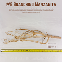 Branching Manzanita | WYSIWYG Pieces