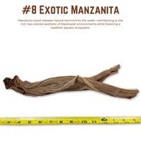 Exotic Manzanita | WYSIWYG Pieces