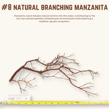 Natural Branching Manzanita | WYSIWYG Pieces