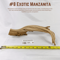 Exotic Manzanita | WYSIWYG Pieces