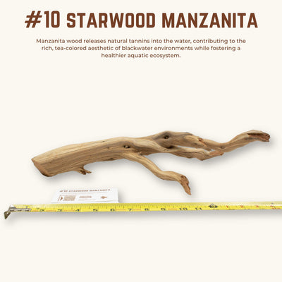 Starwood Manzanita | WYSIWYG Pieces